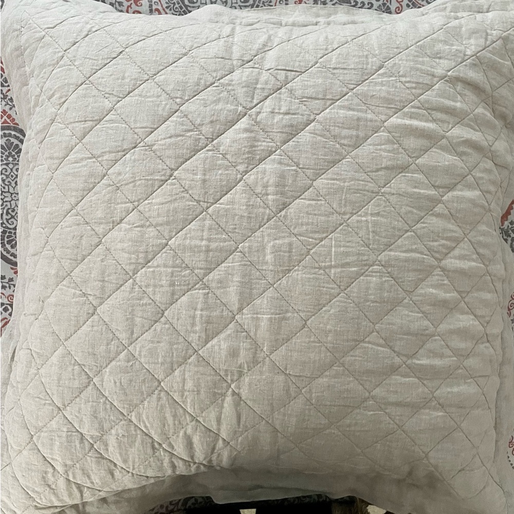 Pottery Barn euro pillow shams